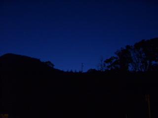 おひさしぶり・・・中年の方_img