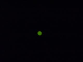 ホタル_img