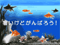 夏休み_img