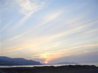 happy muranaka’s_img
