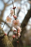 初心、忘れべからず_img