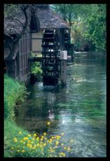 夏の手前_img