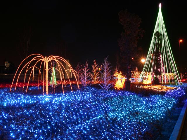 イルミネーション　’０８_img