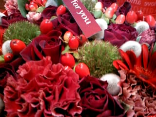March_img