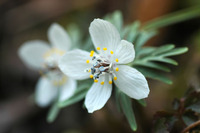 test 2_img