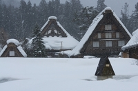 test 3_img