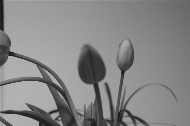 30_img