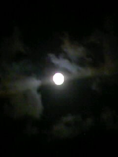 十五夜_img