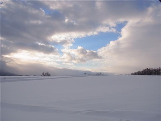 雪ですね。。_img