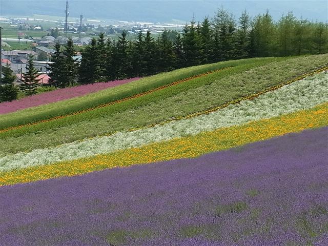 富良野_img
