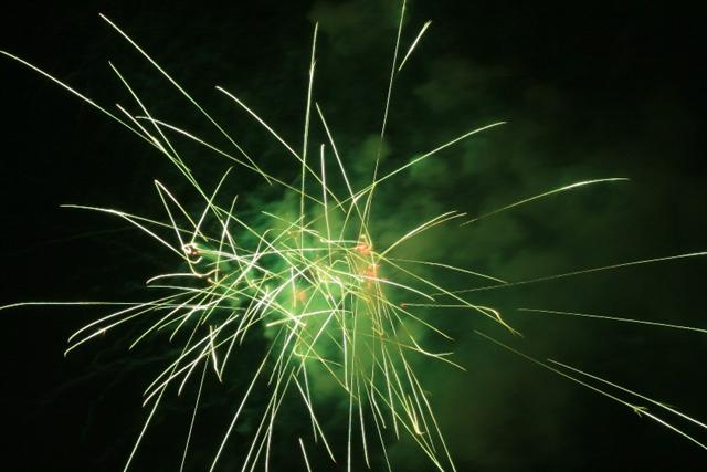 ＨＡＮＡＢＩ　’11_img