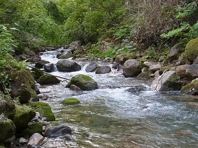 避暑地_img