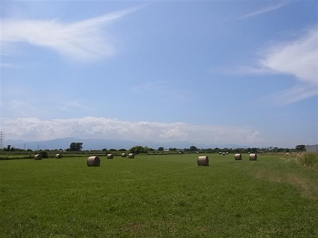 夏_img