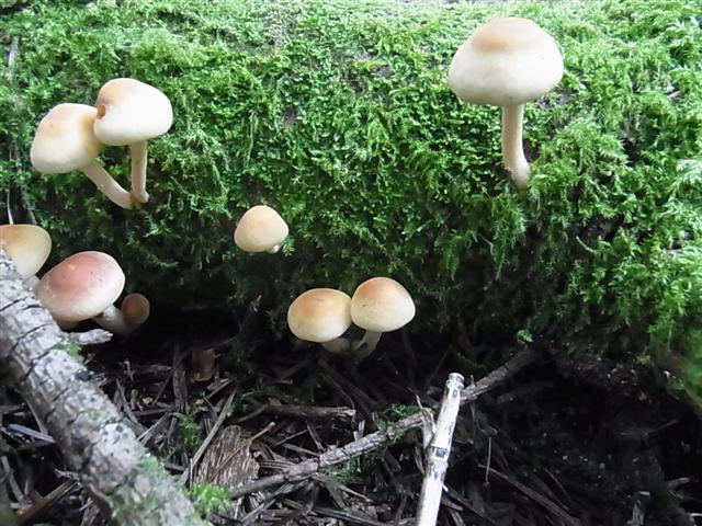 さて１０月_img