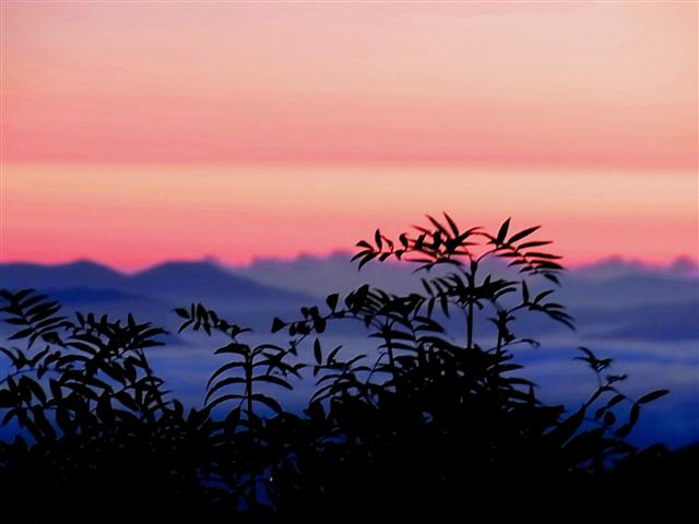 １１月はトリートメント_img