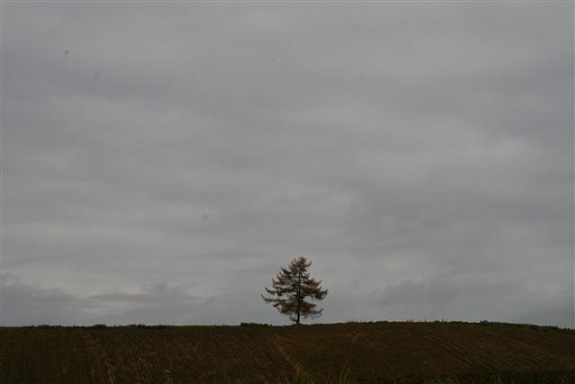 １１１１１１_img