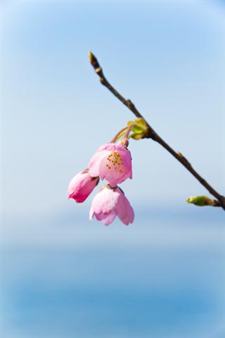 ３月ですね_img