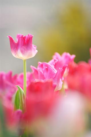 花の金曜日_img