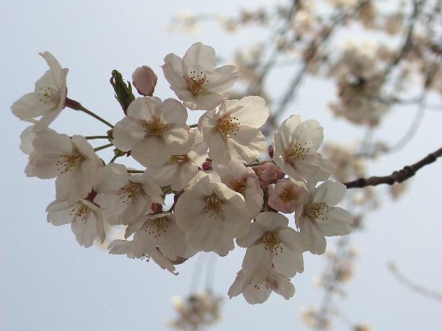 気分転換_img