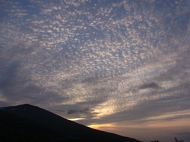 寒いわ_img