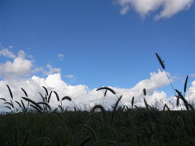秋模様_img