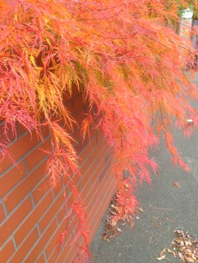 お疲れさま_img