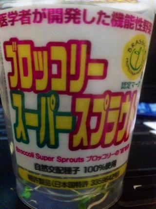 生き残り_img