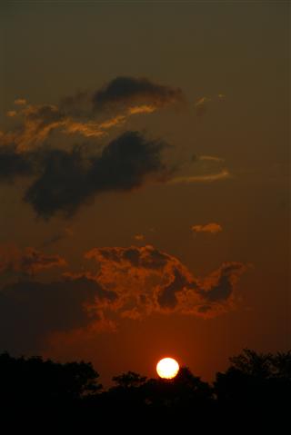 夕陽_img