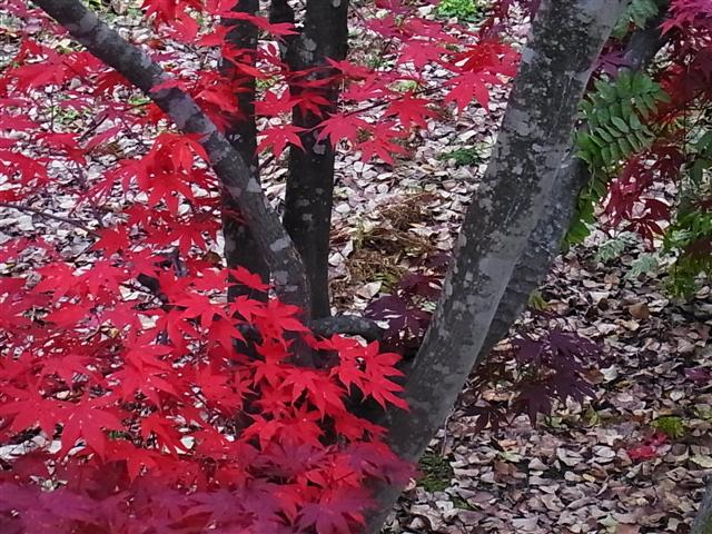 お疲れさま_img