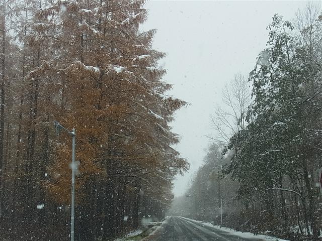初雪_img