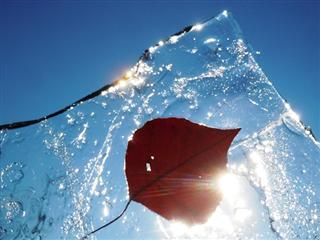 氷点下１０℃_img