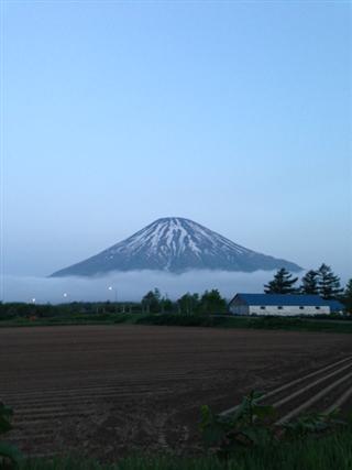 パッっとネ！_img