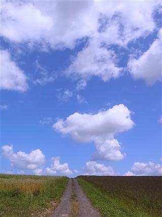 My way_img