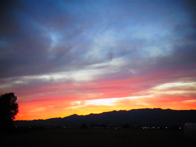 明日へ_img