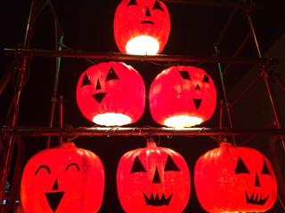 明日から_img