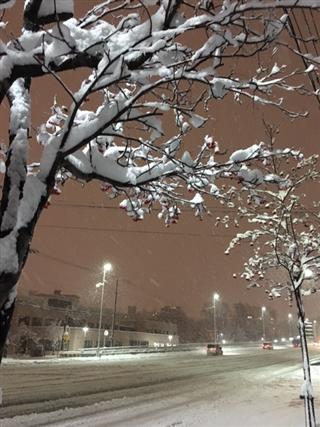積雪_img