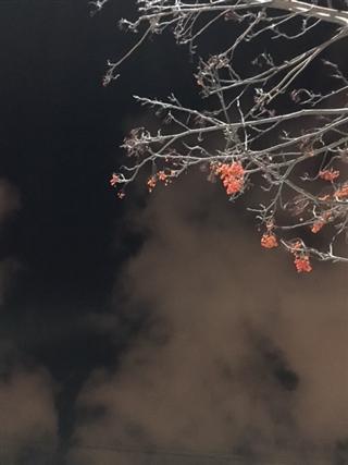天気_img