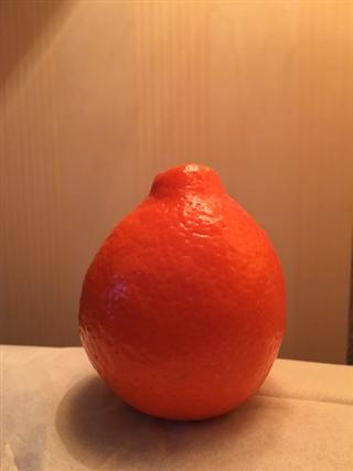 春もよう_img