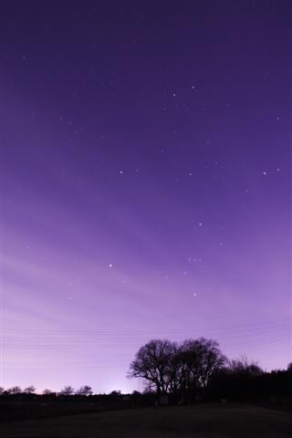 写真_img
