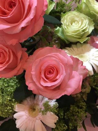 薔薇_img