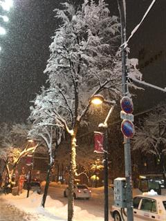 雪なんだねぇ。_img