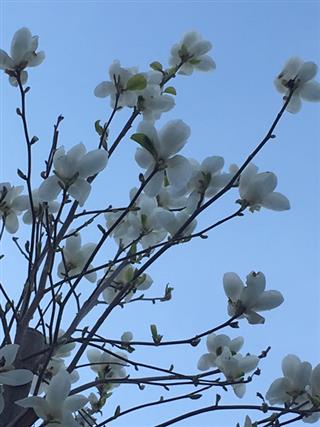 行きたくない_img