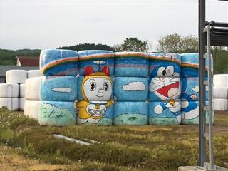 初夏_img