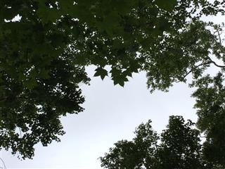 もうひとつの土日_img