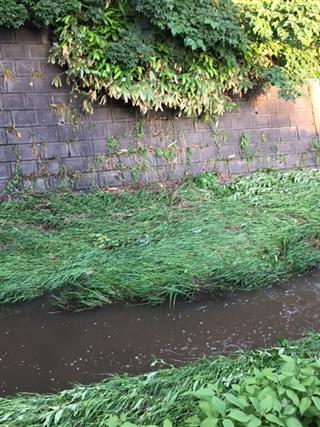 なんてこった_img