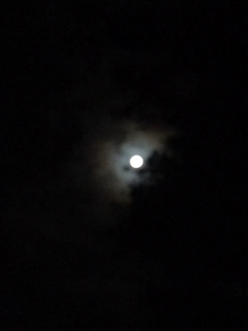 十五夜_img