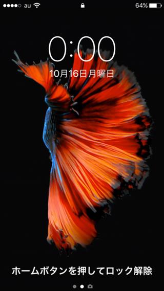 (^0^)v_img