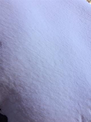 大雪_img